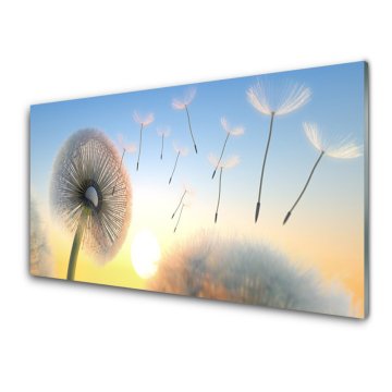 tulup.si Slika na akrilnem steklu Dandelion flower rastlin 4 obešalnika