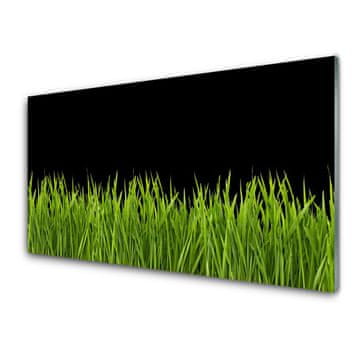 tulup.si Slika na akrilnem steklu Green grass nature 4 obešalnika