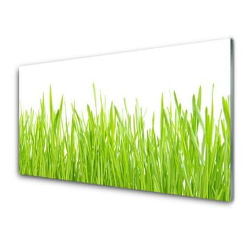 tulup.si Slika na akrilnem steklu Grass nature rastlin 2 obešalnika