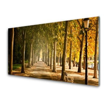 tulup.si Slika na akrilnem steklu Alley park landscape 2 obešalnika