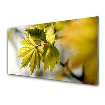 tulup.si Slika na akrilnem steklu Rastlinski listi 2 obešalnika