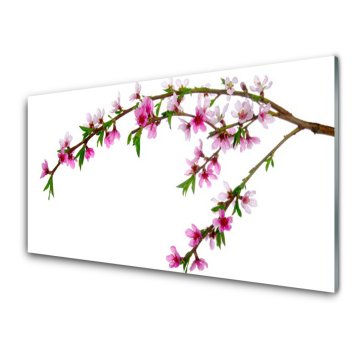 tulup.si Slika na akrilnem steklu Branch flower narava rastlin 4 obešalnika