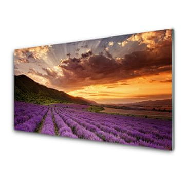 tulup.si Slika na akrilnem steklu Področje lavender sunset 4 obešalnika