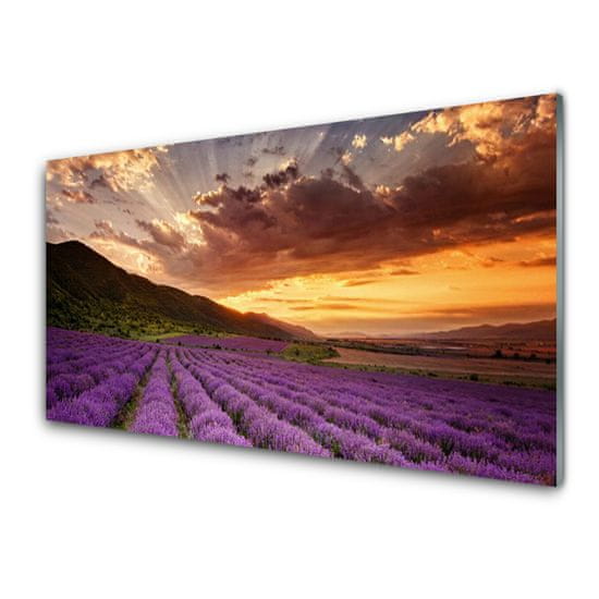 tulup.si Slika na akrilnem steklu Področje lavender sunset