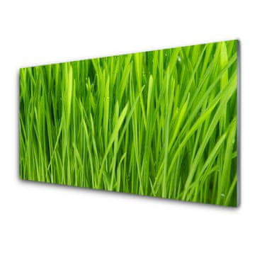 tulup.si Slika na akrilnem steklu Grass nature rastlin 4 obešalnika