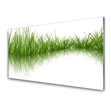 tulup.si Slika na akrilnem steklu Grass nature rastlin 4 obešalnika