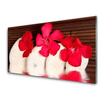 tulup.si Slika na akrilnem steklu Red flowers stones 2 obešalnika
