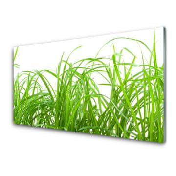 tulup.si Slika na akrilnem steklu Grass nature rastlin 2 obešalnika
