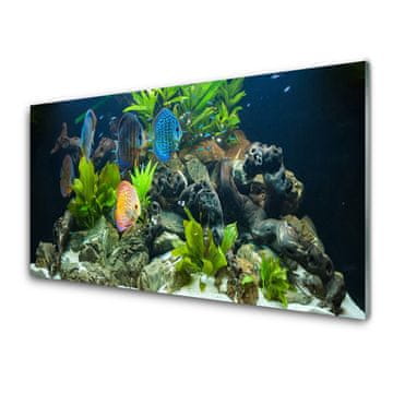 tulup.si Zidna obloga za kuhinju Fish aquarium narava
