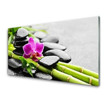 tulup.si Slika na akrilnem steklu Flower bamboo stones art 2 obešalnika