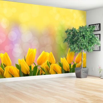 tulup.si Stenska fototapeta Rumena tulipani Tapeta