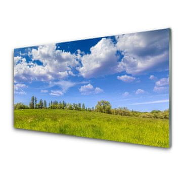 tulup.si Slika na akrilnem steklu Travnik grass heaven landscape 2 obešalnika