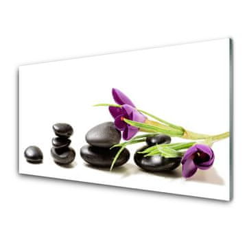tulup.si Slika na akrilnem steklu Crocus flower art 2 obešalnika