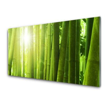 tulup.si Slika na akrilnem steklu Bamboo rastlin 4 obešalnika