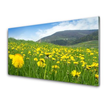 tulup.si Slika na akrilnem steklu Dandelion narava 2 obešalnika