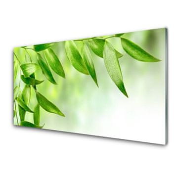 tulup.si Slika na steklu Green leaves narava 2 obešalnika