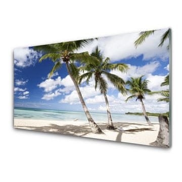 tulup.si Slika na akrilnem steklu Seaside palm beach landscape 2 obešalnika