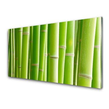 tulup.si Slika na akrilnem steklu Bambus stem flower rastlin 4 obešalnika