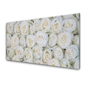 tulup.si Stenska plošča za kuhinjo Roses flowers rastlin