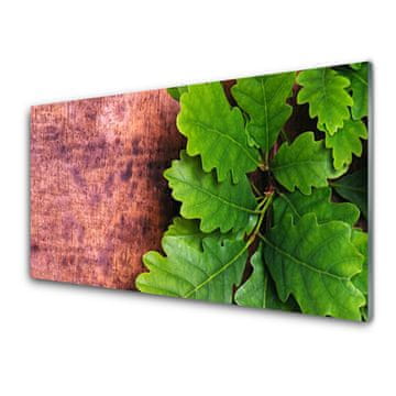 tulup.si Slika na akrilnem steklu Oak tree listi 2 obešalnika