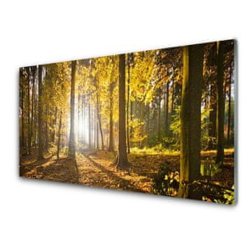 tulup.si Slika na akrilnem steklu Forest listi narava rastlin 2 obešalnika