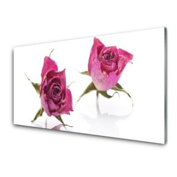 tulup.si Slika na akrilnem steklu Roses flowers rastlin 2 obešalnika