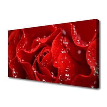 tulup.si Slika na platnu Rose flower rastlin narava