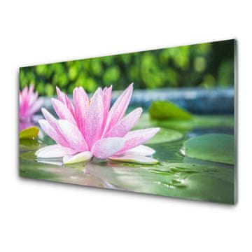 tulup.si Slika na steklu Voda lily pond narava 2 obešalnika