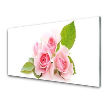 tulup.si Slika na steklu Roses flowers narava rastlin 4 obešalnika
