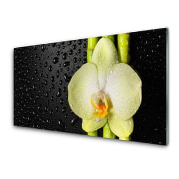 tulup.si Slika na steklu Bamboo orchid cvetje 2 obešalnika