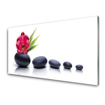 tulup.si Slika na akrilnem steklu Orchid flower graphics 2 obešalnika