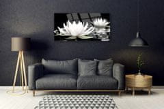 Steklena slika Cvetovi rastlin narava 125x50 cm 4 obešalnika