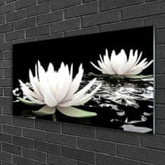 Steklena slika Cvetovi rastlin narava 125x50 cm 4 obešalnika