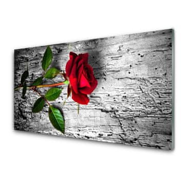 tulup.si Slika na akrilnem steklu Rose flower rastlin narava 4 obešalnika