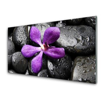tulup.si Slika na akrilnem steklu Flower stones art 4 obešalnika