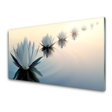tulup.si Slika na steklu White water lilies waterlily 2 obešalnika