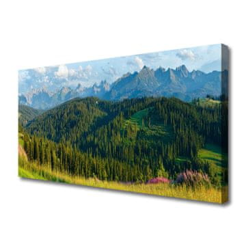 tulup.si Slika na platnu Mount forest narava