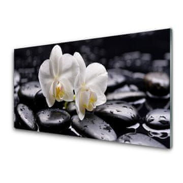 tulup.si Slika na akrilnem steklu Zen bela orchid spa 4 obešalnika