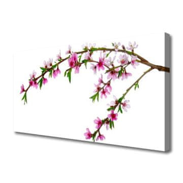tulup.si Slika na platnu Branch flower narava rastlin