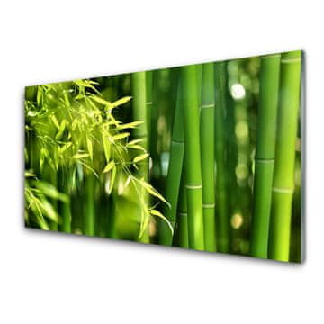 tulup.si Slika na akrilnem steklu Bamboo listi rastlin 2 obešalnika