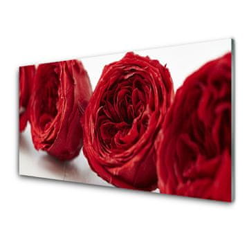 tulup.si Slika na steklu Roses flowers rastlin 2 obešalnika
