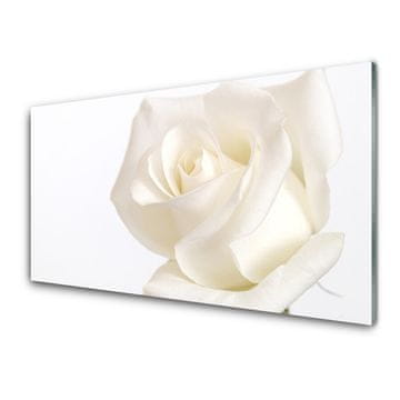 tulup.si Slika na steklu Rose flowers 4 obešalnika