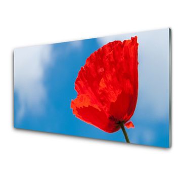 tulup.si Steklena slika Tulip na wall 2 obešalnika