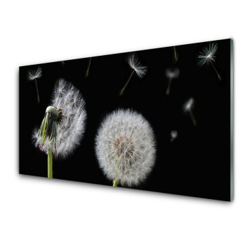 tulup.si Slika na akrilnem steklu Dandelion 2 obešalnika