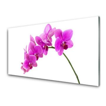 tulup.si Slika na akrilnem steklu Orchid cvet orhideje 2 obešalnika