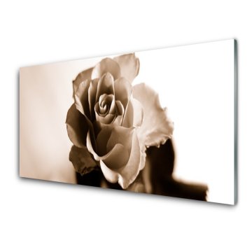 tulup.si Slika na akrilnem steklu Rose flower rastlin 4 obešalnika