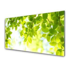 tulup.si Steklena slika Listi narava rastlin 120x60 cm
