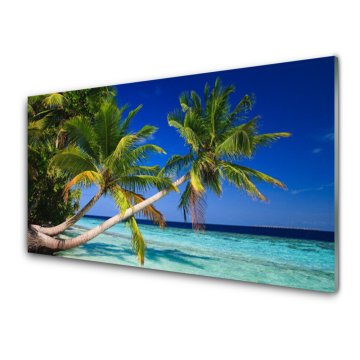 tulup.si Slika na akrilnem steklu Palm tree morje landscape 4 obešalnika