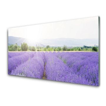 tulup.si Slika na akrilnem steklu Lavender polje travnik narava 4 obešalnika