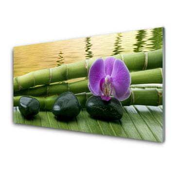 tulup.si Slika na akrilnem steklu Flower stones bamboo narava 4 obešalnika